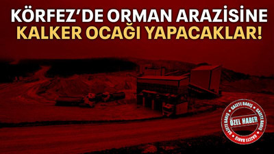Körfez’de orman arazisine kalker ocağı yapacaklar!